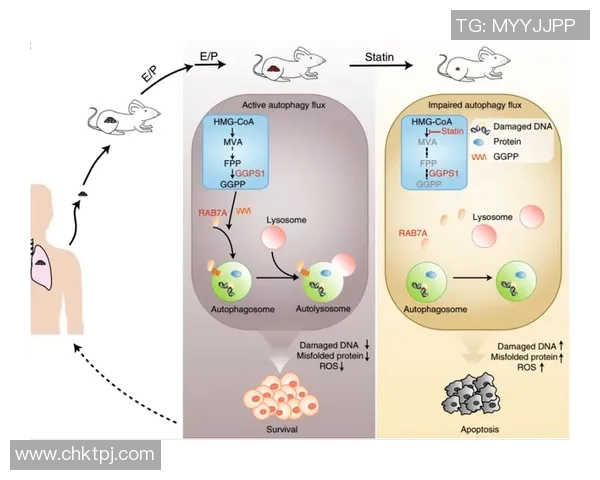 数据分析揭示WE团队协作表现的优势与改进空间 数据分析揭示WE团队协作表现的优势与改进空间