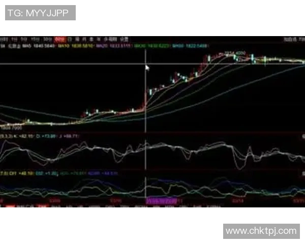 深度分析上海网球队独特防守策略与战术执行