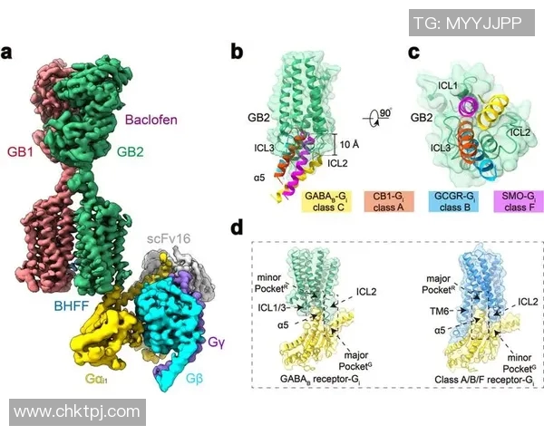数据分析揭示V5团队协作表现的优势与改进空间